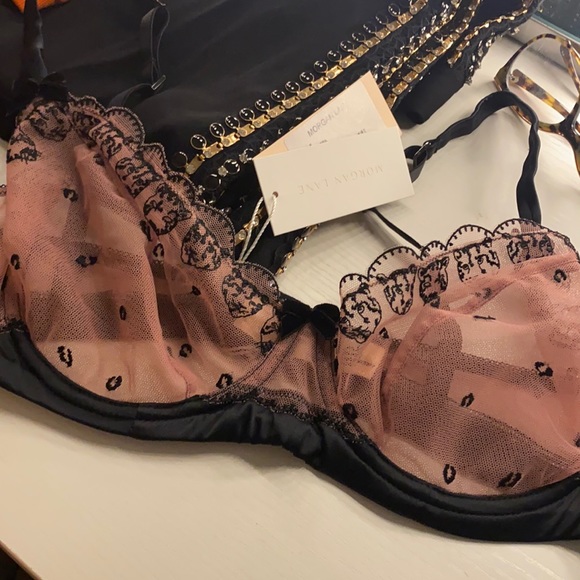 Morgan Lane Pink Lace Bra - Picture 6 of 11